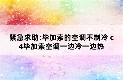 紧急求助:毕加索的空调不制冷 c4毕加索空调一边冷一边热